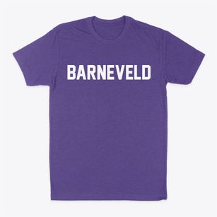 Barneveld New York Classic Block Classic Dad T-Shirt