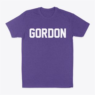 Gordon Ohio Classic Block Classic Dad T-Shirt