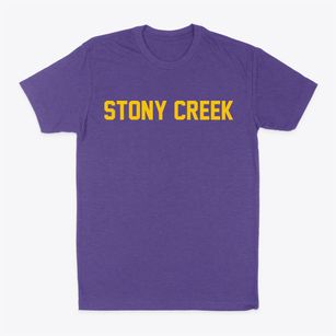 Stony Creek New York Classic Block Classic Dad T-Shirt