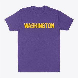 Washington Illinois Classic Block Classic Dad T-Shirt