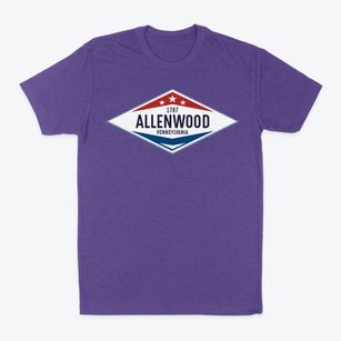 Allenwood Pennsylvania Diamond Star Classic Dad T-Shirt