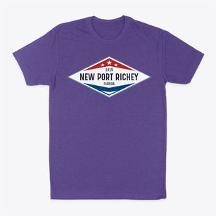 New Port Richey Florida Diamond Star Classic Dad T-Shirt