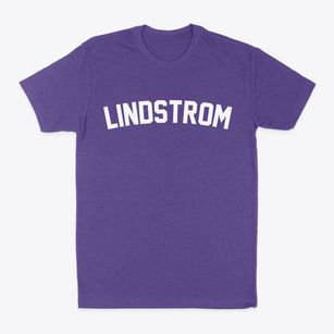 Lindstrom Minnesota Classic Curve Classic Dad T-Shirt