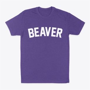 Beaver Pennsylvania Classic Curve Classic Dad T-Shirt