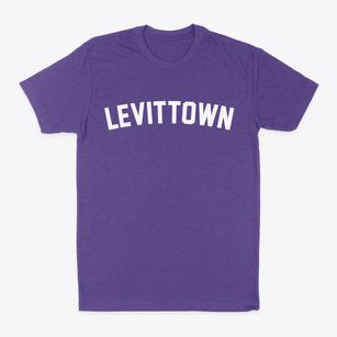 Levittown New York Classic Curve Classic Dad T-Shirt