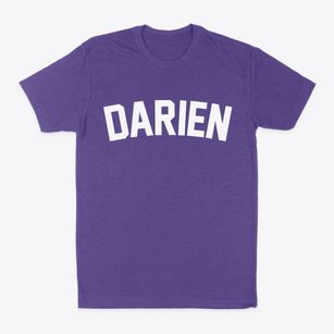 Darien New York Classic Curve Classic Dad T-Shirt