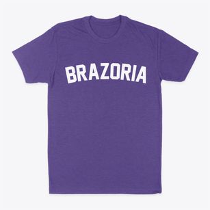 Brazoria Texas Classic Curve Classic Dad T-Shirt