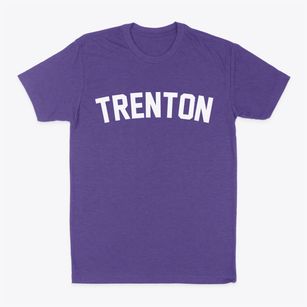 Trenton Illinois Classic Curve Classic Dad T-Shirt