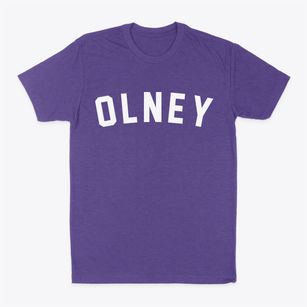 Olney Maryland Classic Curve Classic Dad T-Shirt