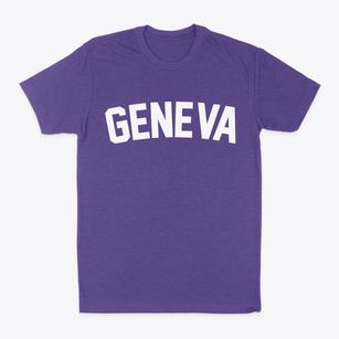 Geneva Nebraska Classic Curve Classic Dad T-Shirt