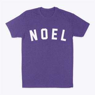 Noel Missouri Classic Curve Classic Dad T-Shirt