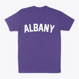 Albany Vermont Classic Curve Classic Dad T-Shirt