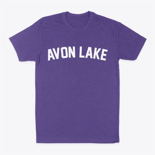 Avon Lake Ohio Classic Curve Classic Dad T-Shirt