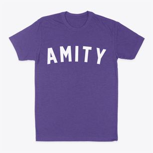 Amity Arkansas Classic Curve Classic Dad T-Shirt