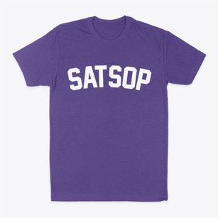 Satsop Washington Classic Curve Classic Dad T-Shirt