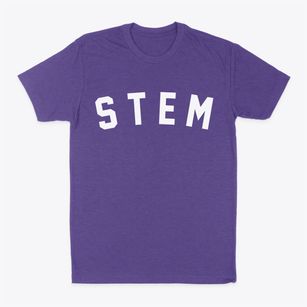 Stem North Carolina Classic Curve Classic Dad T-Shirt