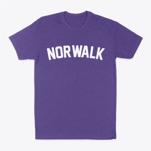 Norwalk California Classic Curve Classic Dad T-Shirt