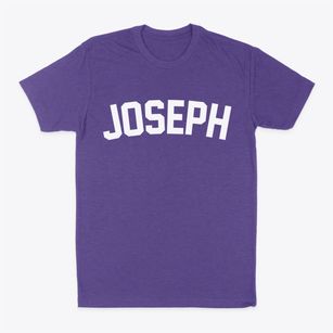 Joseph Utah Classic Curve Classic Dad T-Shirt