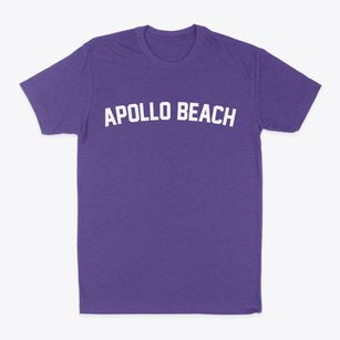 Apollo Beach Florida Classic Curve Classic Dad T-Shirt