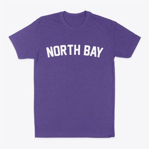 North Bay Wisconsin Classic Curve Classic Dad T-Shirt