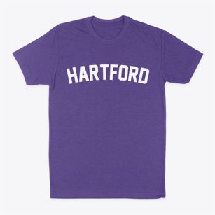 Hartford Wisconsin Classic Curve Classic Dad T-Shirt