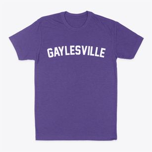Gaylesville Alabama Classic Curve Classic Dad T-Shirt