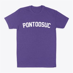 Pontoosuc Illinois Classic Curve Classic Dad T-Shirt