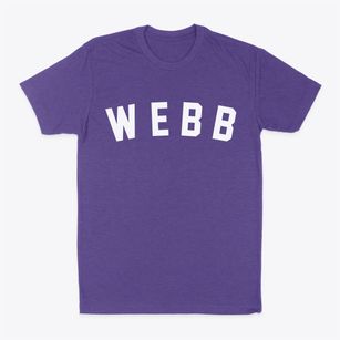 Webb Iowa Classic Curve Classic Dad T-Shirt