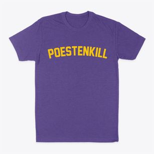 Poestenkill New York Classic Curve Classic Dad T-Shirt