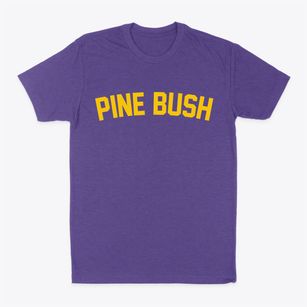 Pine Bush New York Classic Curve Classic Dad T-Shirt
