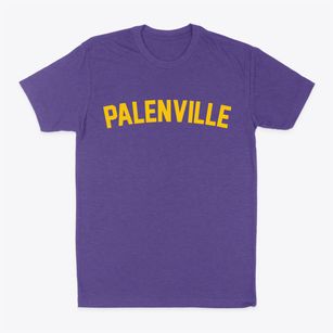 Palenville New York Classic Curve Classic Dad T-Shirt
