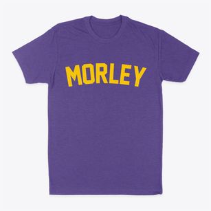 Morley Michigan Classic Curve Classic Dad T-Shirt