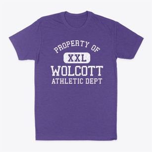 Wolcott Indiana Athletic Dept Classic Dad T-Shirt