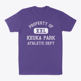 Keuka Park New York Athletic Dept Classic Dad T-Shirt