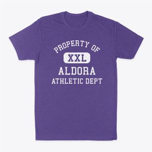Aldora Georgia Athletic Dept Classic Dad T-Shirt
