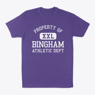 Bingham Illinois Athletic Dept Classic Dad T-Shirt
