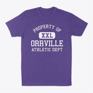 Orrville Ohio Athletic Dept Classic Dad T-Shirt