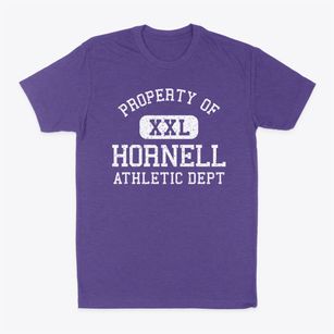Hornell New York Athletic Dept Classic Dad T-Shirt