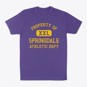Springdale Maryland Athletic Dept Classic Dad T-Shirt