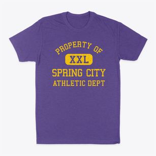 Spring City Tennessee Athletic Dept Classic Dad T-Shirt