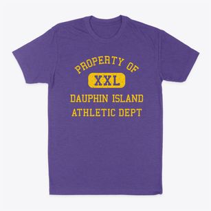 Dauphin Island Alabama Athletic Dept Classic Dad T-Shirt