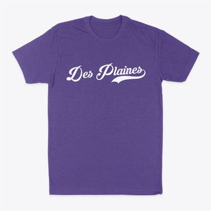 Des Plaines Illinois Vintage Team Classic Dad T-Shirt