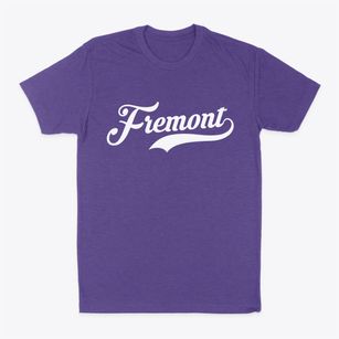 Fremont Michigan Vintage Team Classic Dad T-Shirt