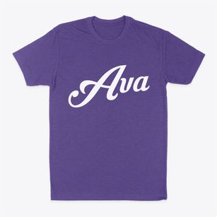 Ava Missouri Vintage Team Classic Dad T-Shirt