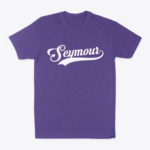 Seymour Texas Vintage Team Classic Dad T-Shirt