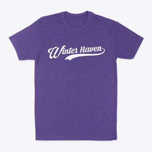 Winter Haven Florida Vintage Team Classic Dad T-Shirt