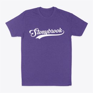 Stonybrook Pennsylvania Vintage Team Classic Dad T-Shirt