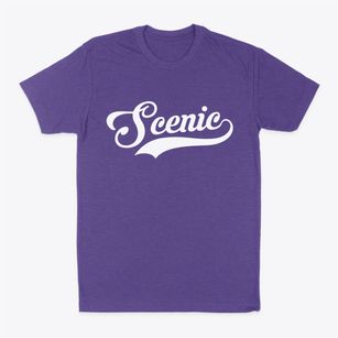 Scenic Arizona Vintage Team Classic Dad T-Shirt