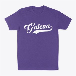Galena Ohio Vintage Team Classic Dad T-Shirt