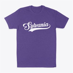 Sylvania Ohio Vintage Team Classic Dad T-Shirt